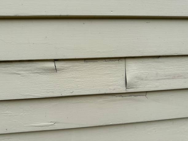 Best Steel Siding Installation  in USA